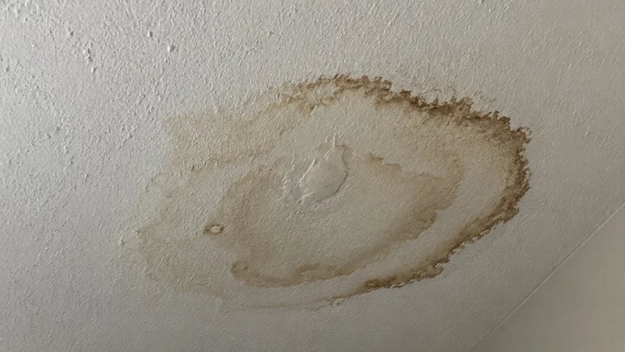 Water stain with brown rings and bubbled paint on a white textured ceiling
