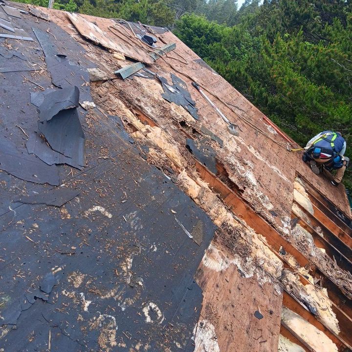 Before: shingles torn off, the plywood decking underneath rotted through, a roofer in a safety harness at the edge
